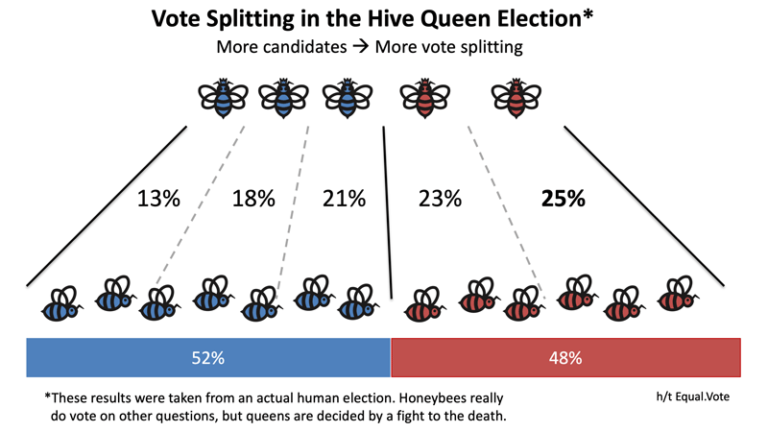 The Vote-Splitting Problem - Unsplit The Vote