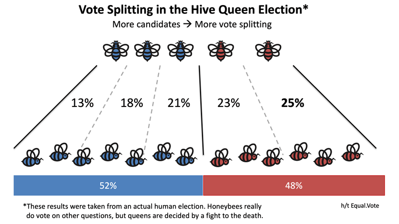 Vote splitting in the Hive Queen Election